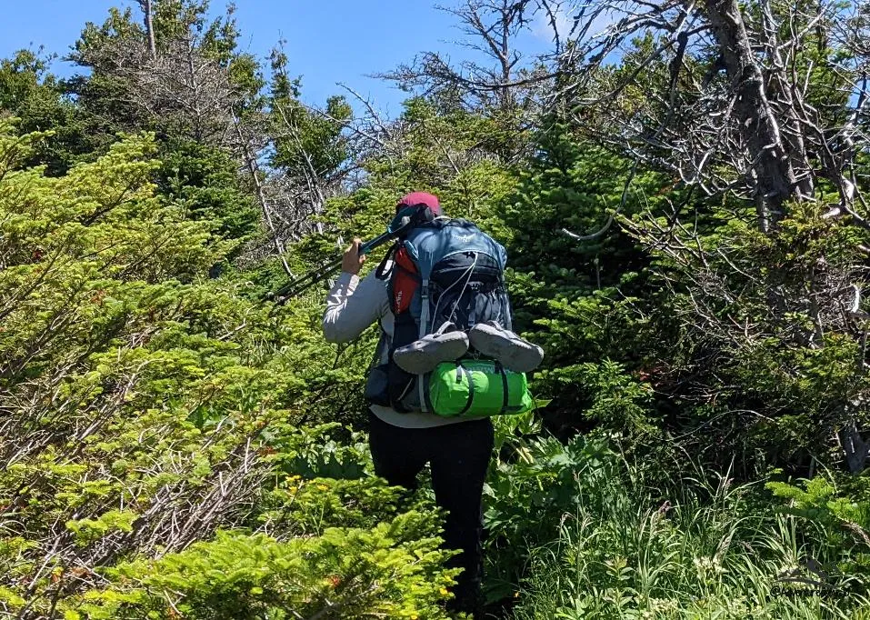 我希望在第一次旅行時知道的 13 個背包旅行技巧