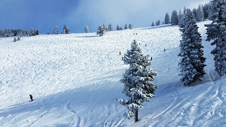 2024/25 科羅拉多州 12 個頂級滑雪度假村